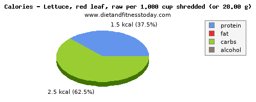 energy, calories and nutritional content in calories in lettuce